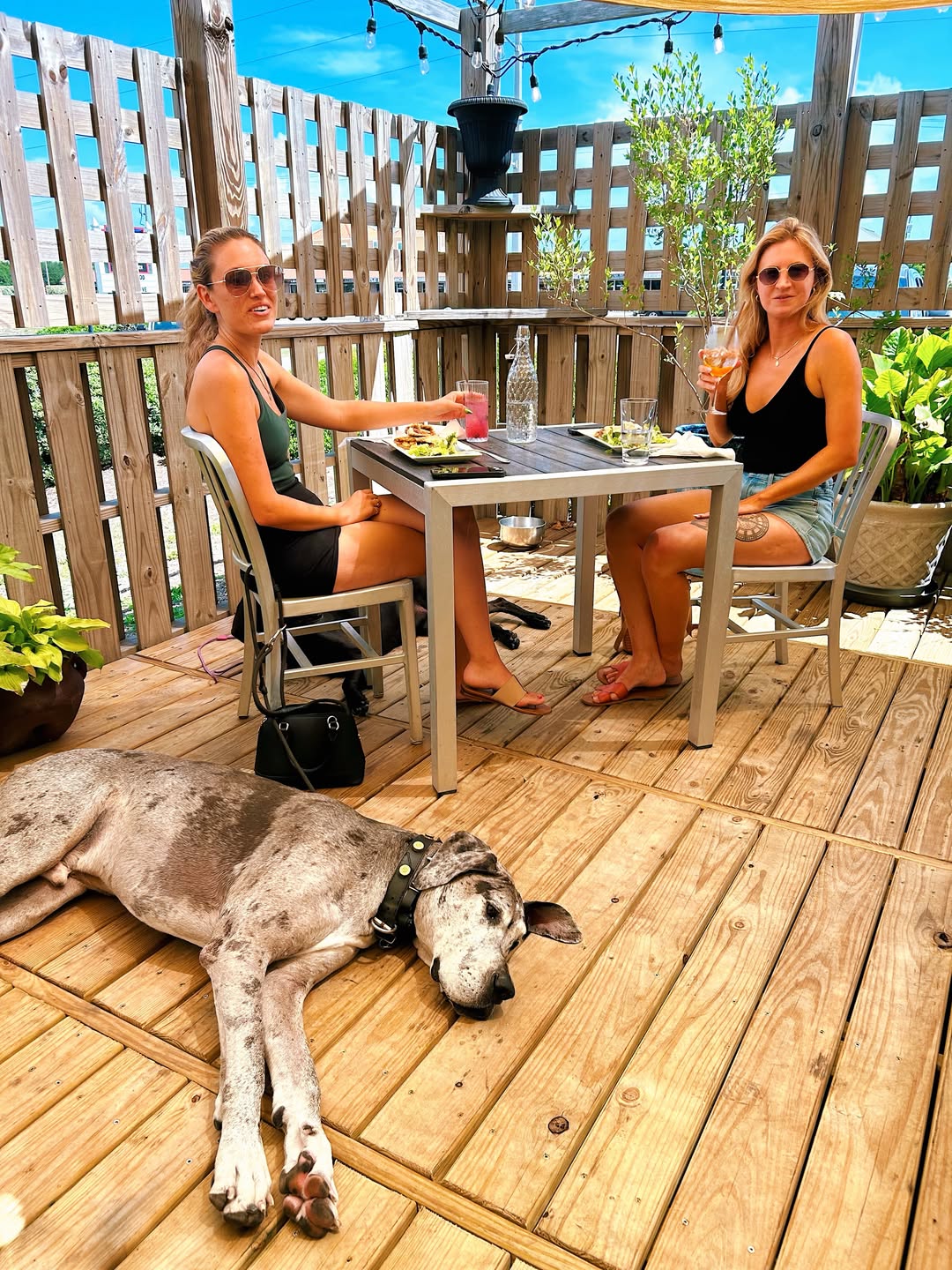 Did you know our patio is pet friendly a...