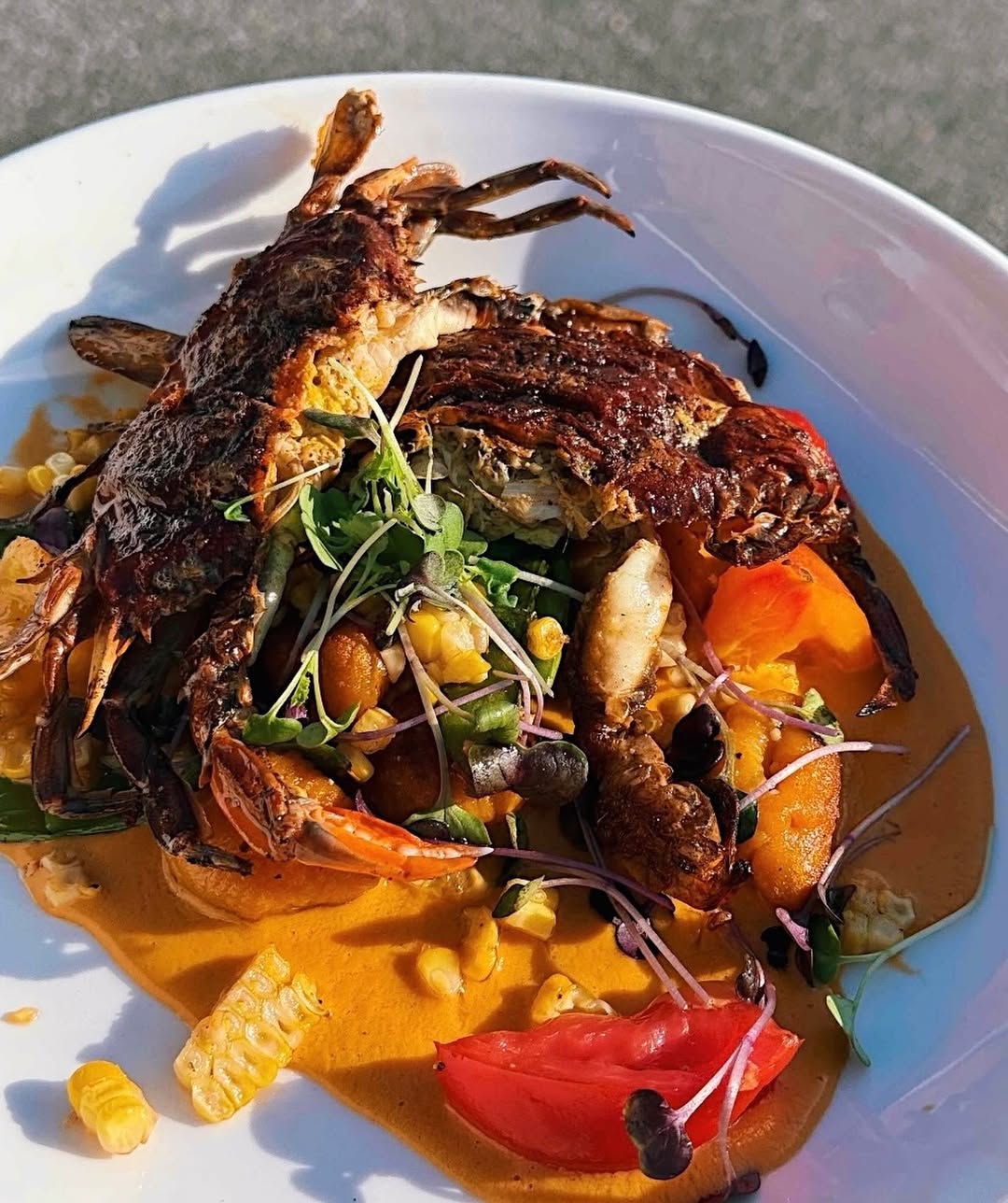Soft shell week is coming to a close, ge...