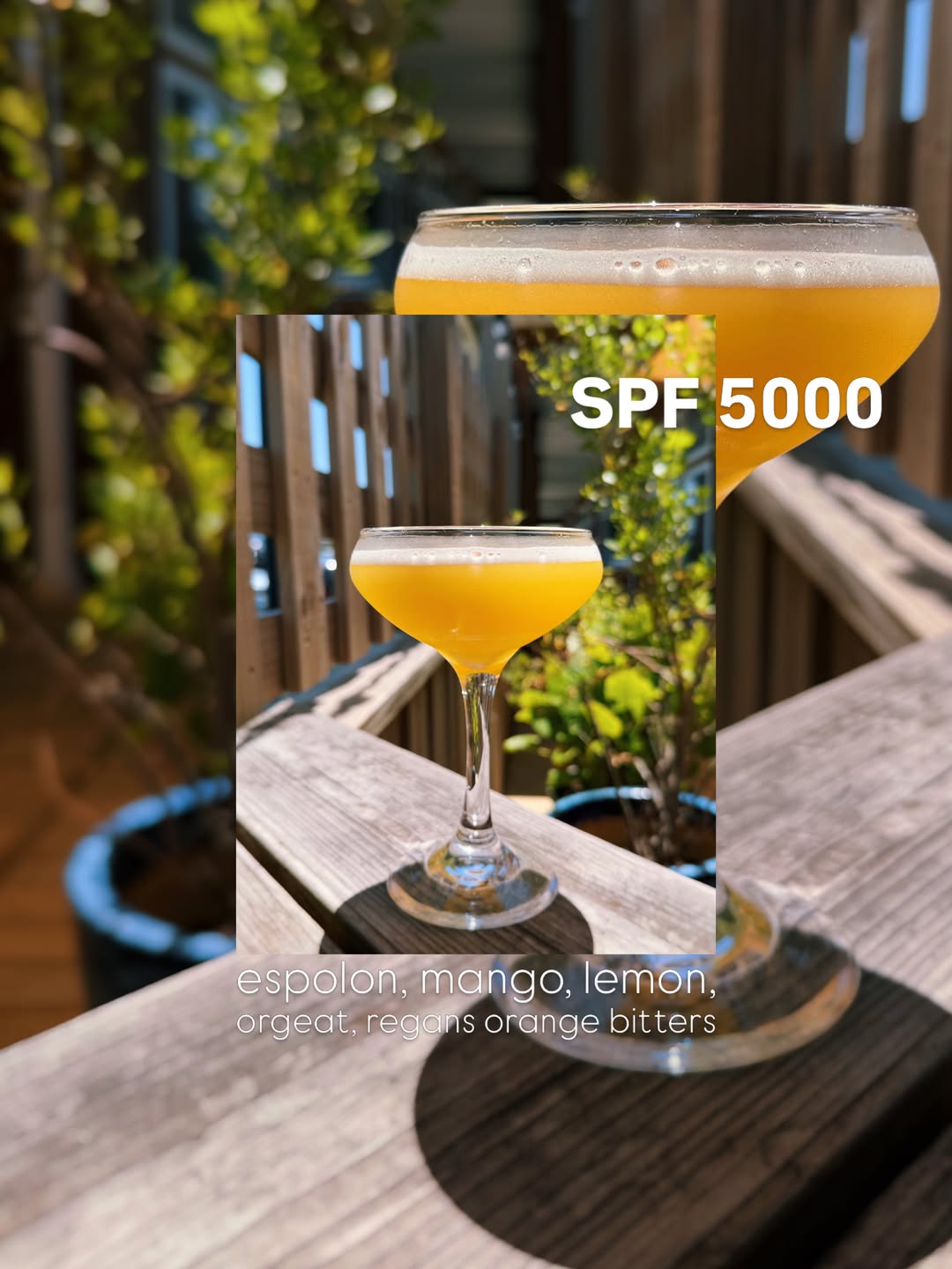 We’ve got your SPF covered