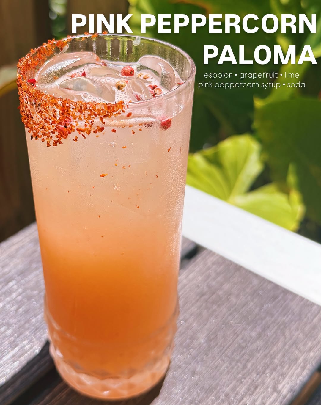 The paloma of our dreams