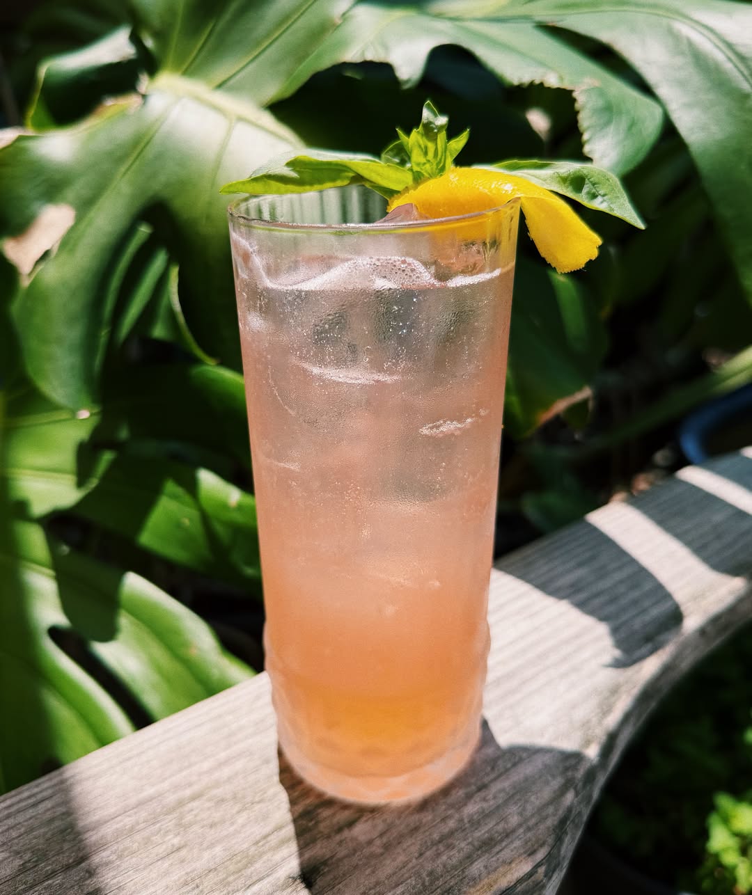 Take a ride on the herbal side with our ...